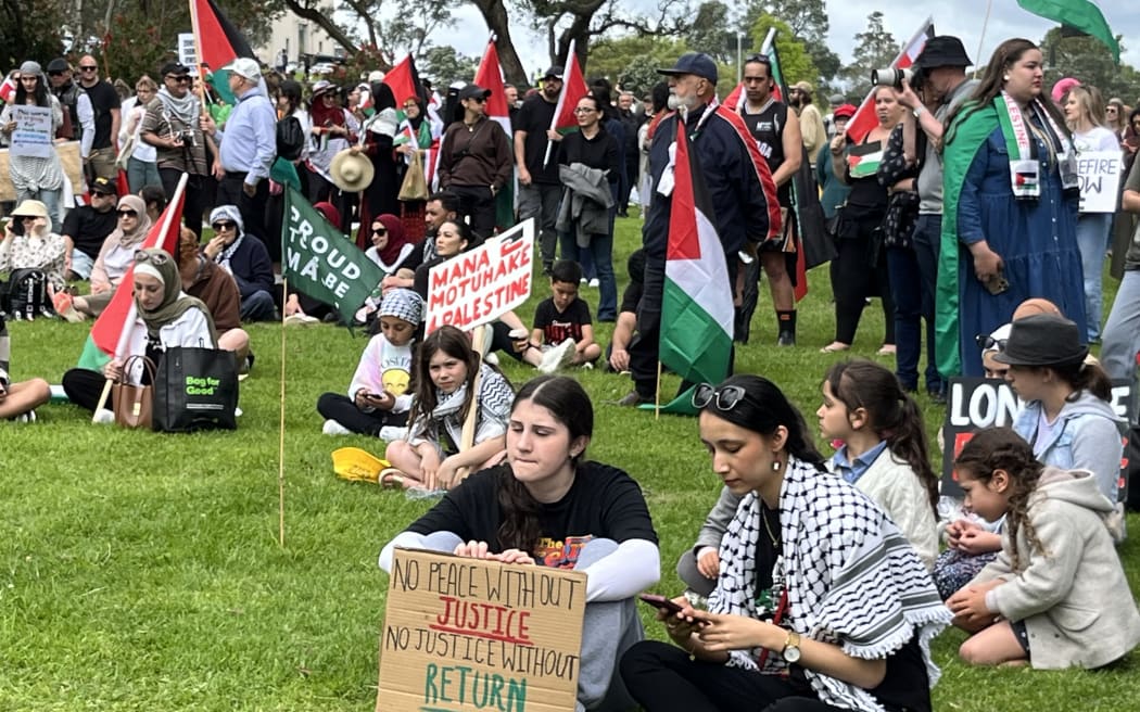 Protestors at an Israel-Gaza ceasefire demonstration in Auckland Domain 4 Nov 2023.