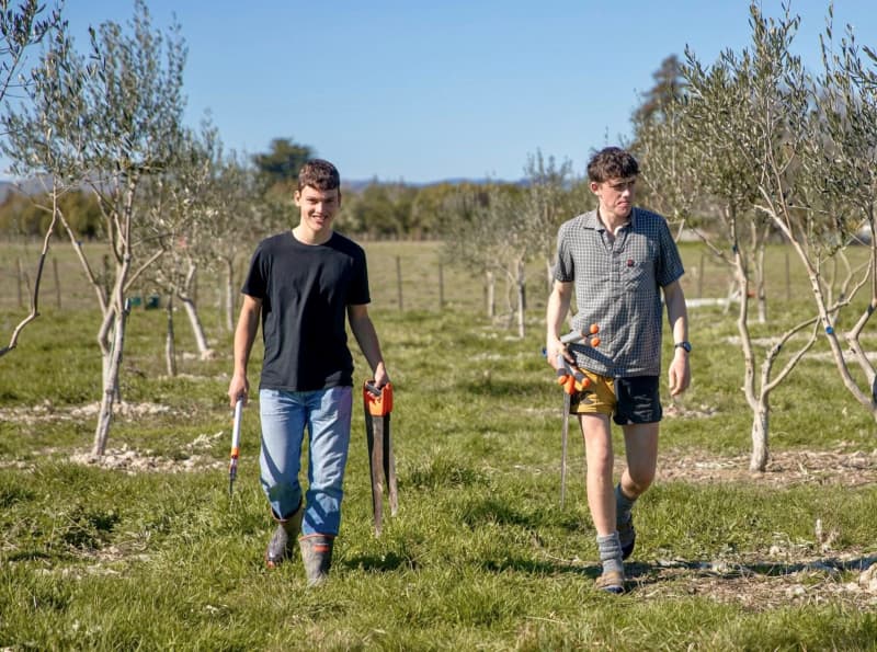 Reagan Murphy and Harry Carlsen at the Wairarapa College’s horticulture block which has produced an award winning olive oil.