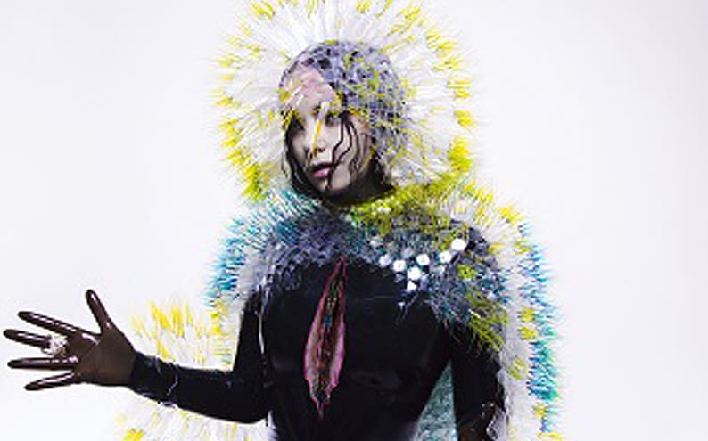 Bjork-Vulcinura