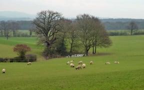 English pastoral scene