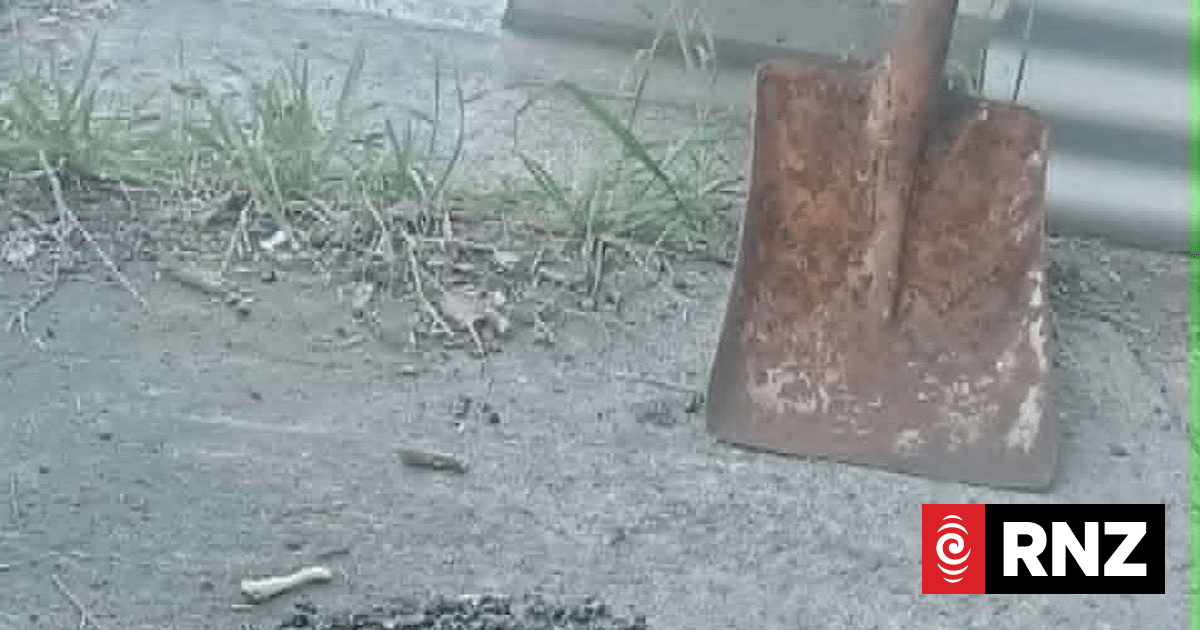 Hawke's Bay glass repair shops busy after roadworks damage cars