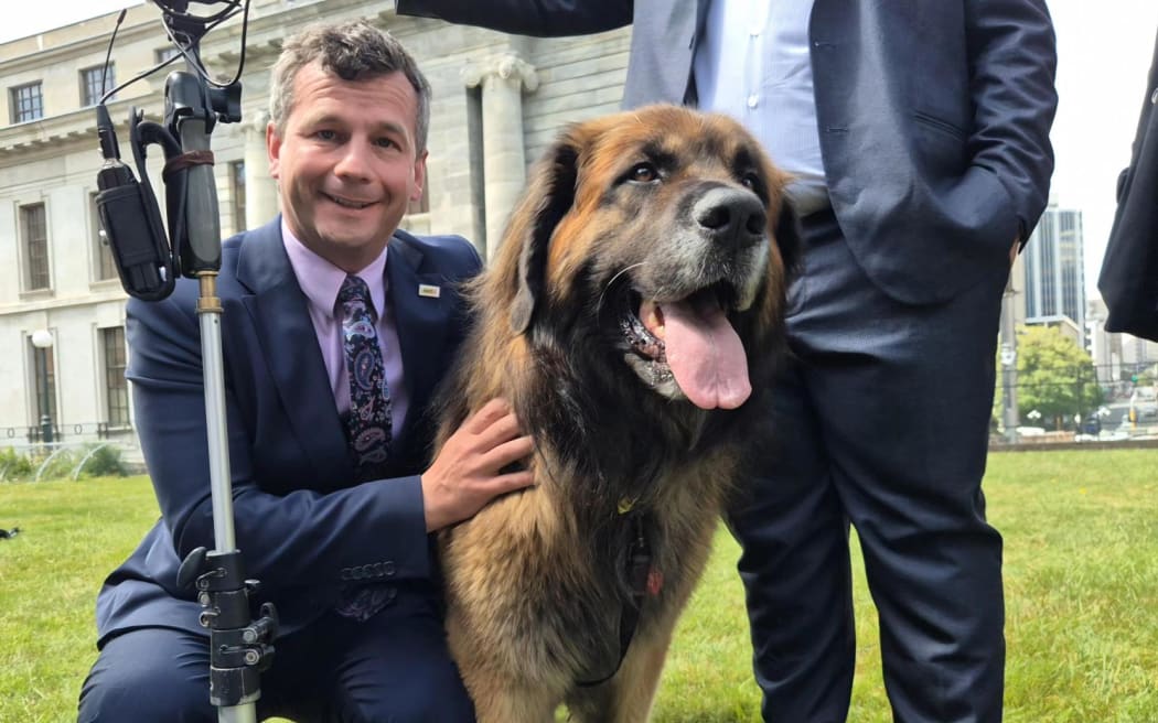 Ministers have hosted a pet picnic at Parliament to mark the beginning of new 'pet bond' rules for renters. 
David Seymour