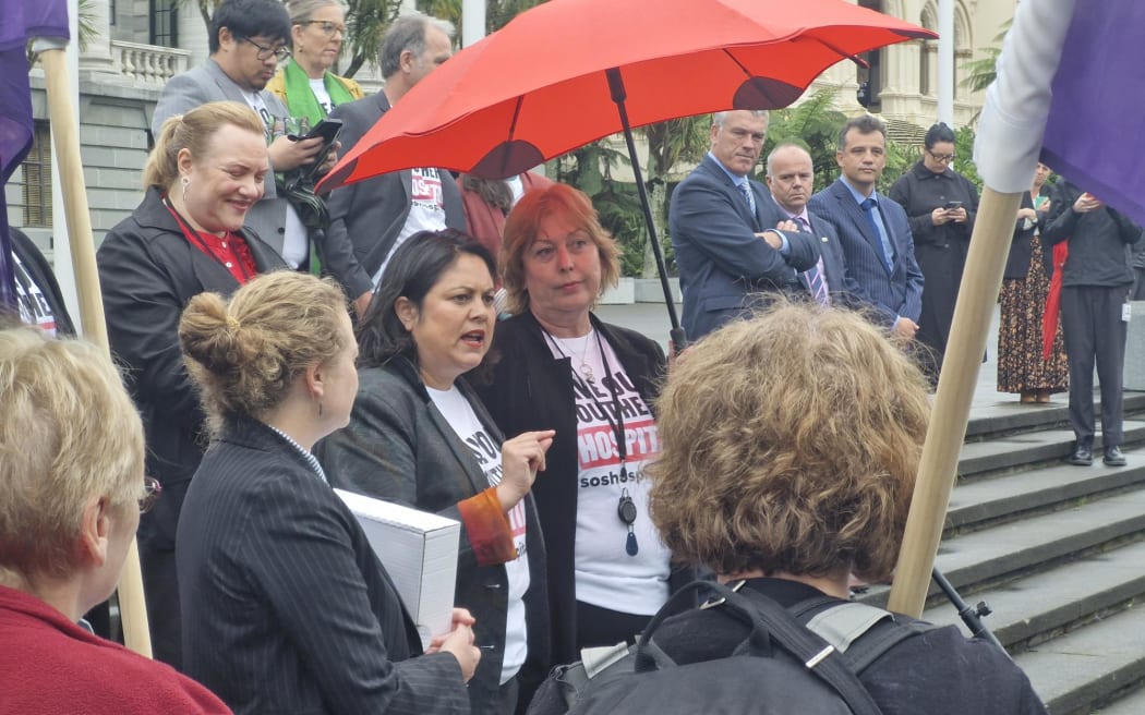 Labour's Health spokesperson Ayesha Verrall, surrounded by other Labour MPs - including Nelson's Rachel Boyack, Rachel Brooking, Tracey McLellan and David Parker (out of shot) - speaks to petitioners as Green MPs and government MPs look on from the steps at the forecourt of Parliament. NZNO delegate Linda Smillie and President Anne Daniels listen from the sidelines carrying purple flags.