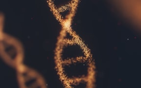 Digital rendering of a DNA helix