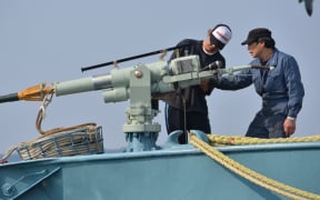 Japan whaling