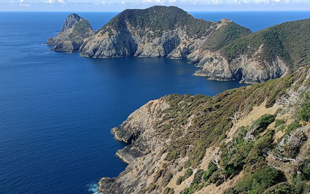 View towards Cape Brett
