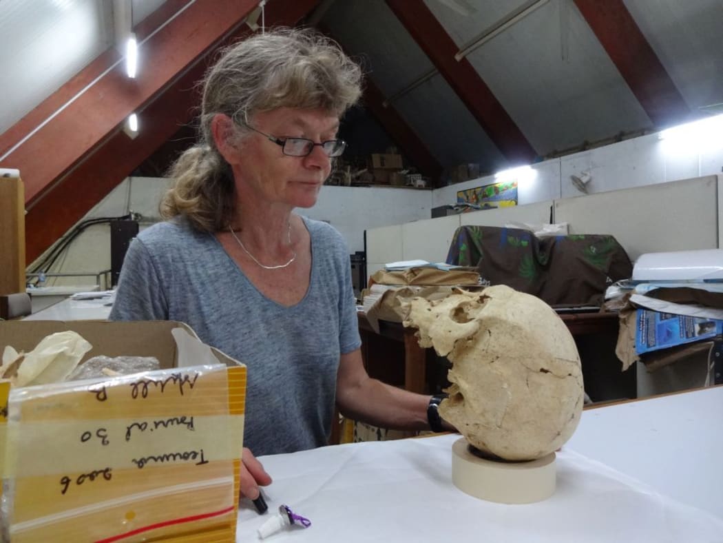 French archaeologist Frederique Valentin is measuring up one of the 3000-year-old skulls from the Teouma cemetery, at the museum collection in Port Vila.