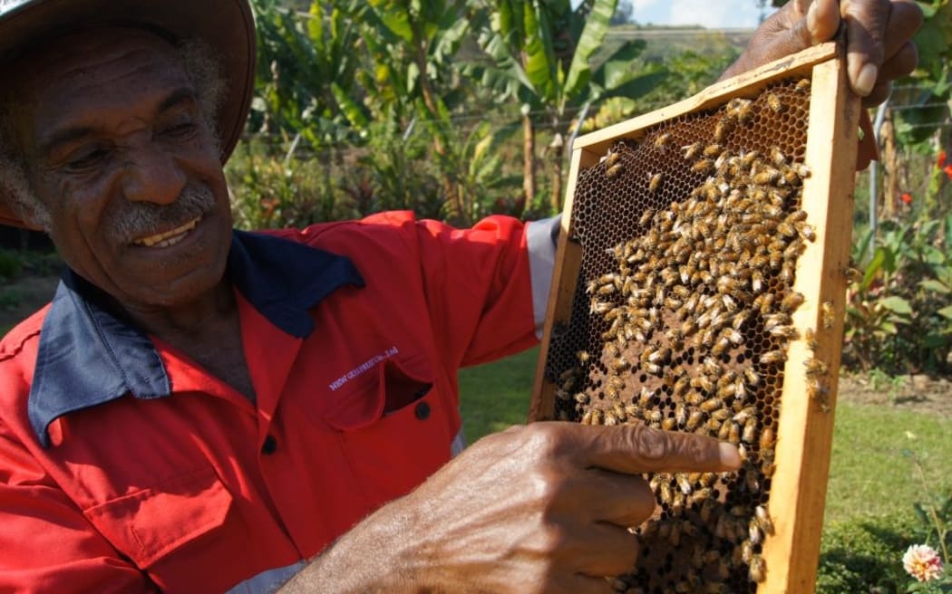 Wilson Tomato points out the Queen Bee. He's part of a beekeeping project in the Papua New Guinea Highlands