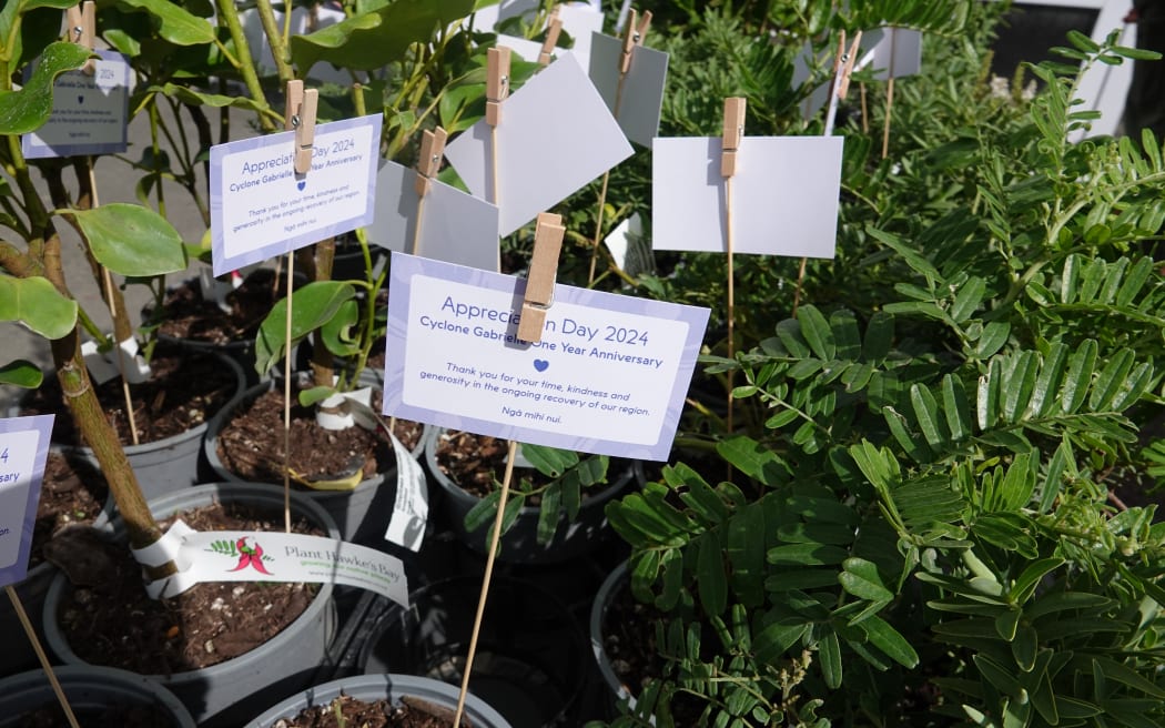 Each attendee at the Appreciation Day was given a native seedling as a thank you for their efforts during the response and recovery.
