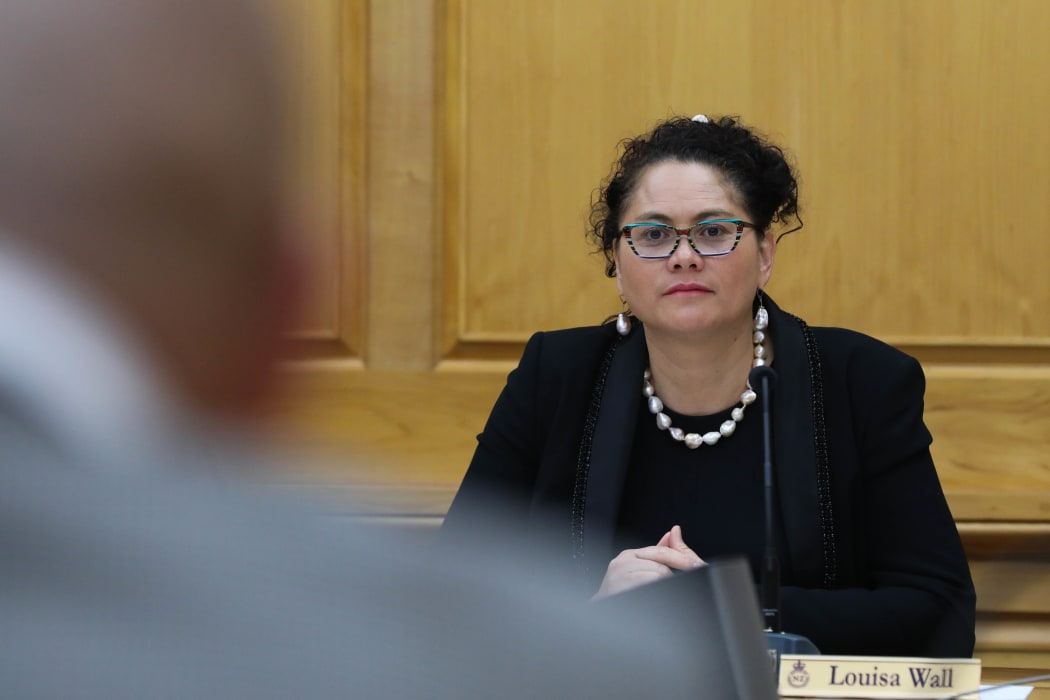 Labour MP Louisa Wall as Chair of Social Services Select Committee