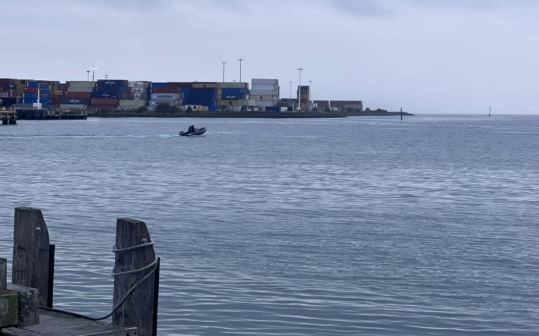 A search is underway in Wellington Harbour for a passenger who appears to have fallen overboard.