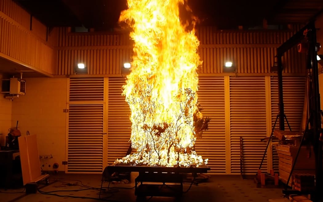 A bush engulfed in raging flames on a metal platform in a warehouse-style lab.