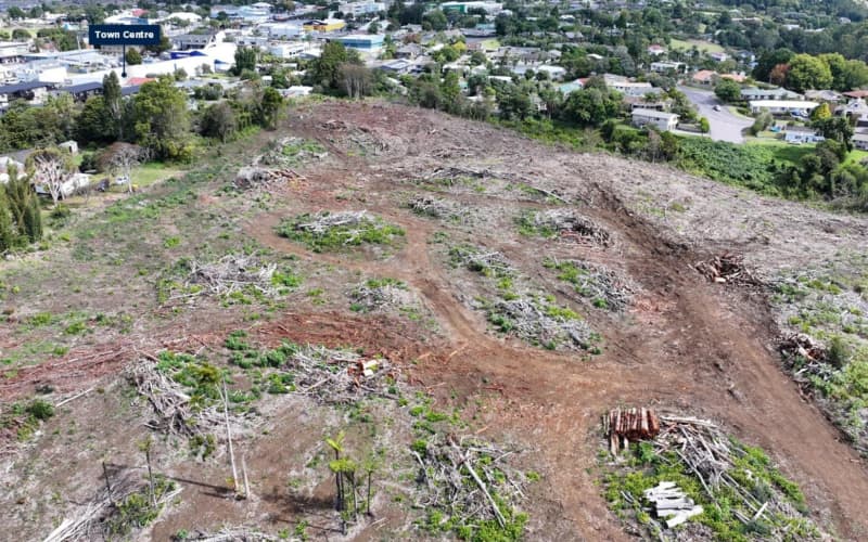 An aerial photo from Bayleys Realty shows the property is now mostly bare land.