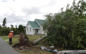 The tornado tore down trees throughout Mangawhai. "A lot of arborists' chainsaws are running," said one resident.