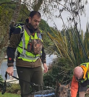 Searchers and a police dog and handler at the Lees Grove entrance to East Harbour Regional Park