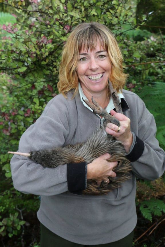Ranger Rachel Norton holding a tokoeka kiwi.