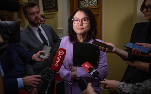 National MP Melissa Lee at caucus run