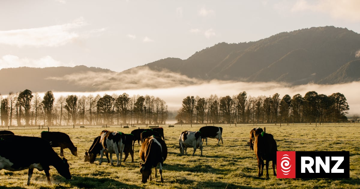 Milk prices see largest drop in two years at global dairy auction
