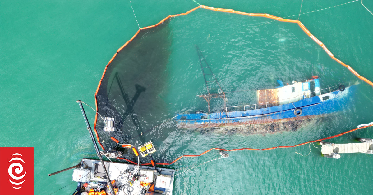 Oil spill clean-up almost finished in Careys Bay - Vimarsana News