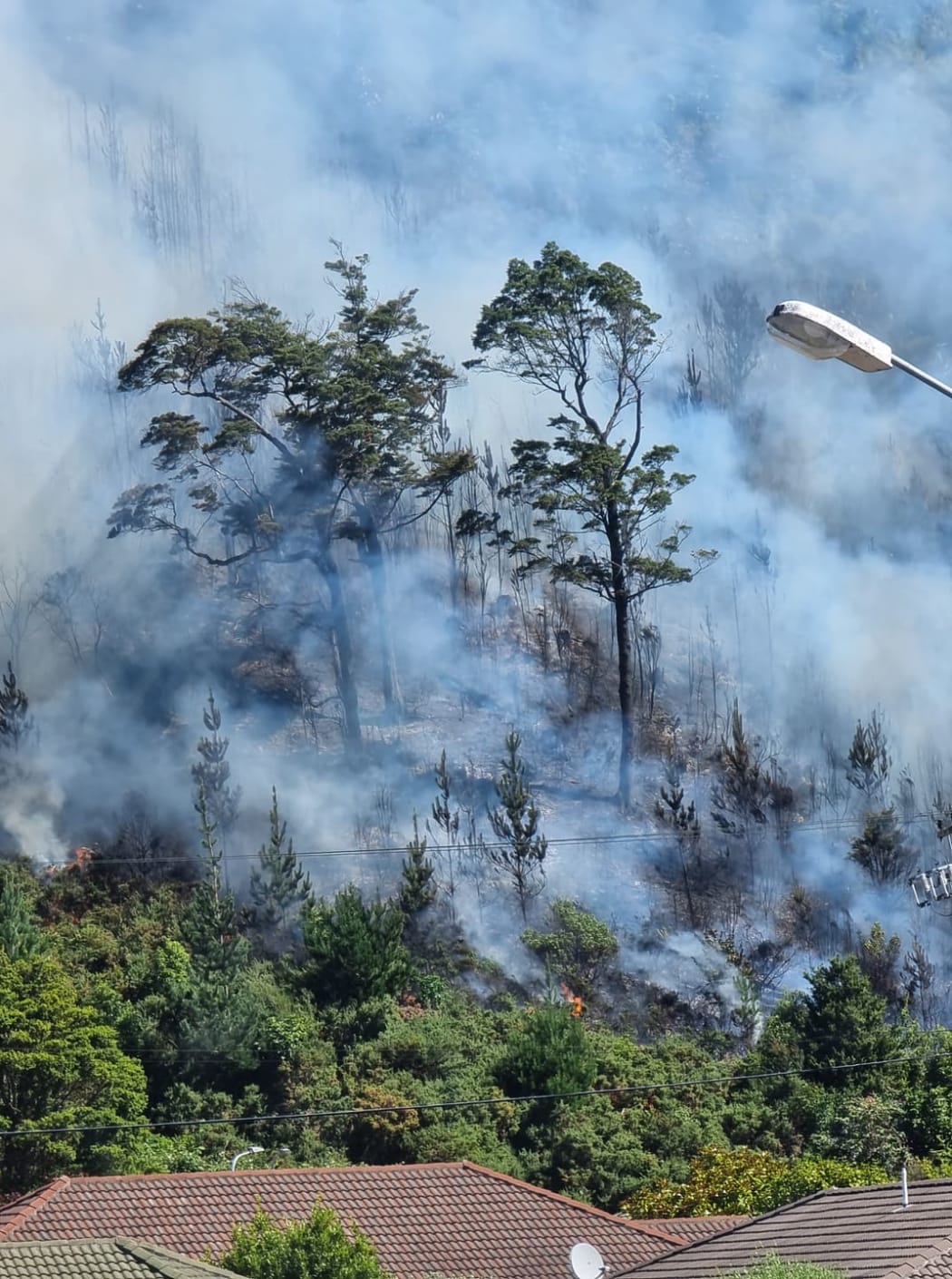 Fire, Upper Hutt, Trentham, 22 January 2022