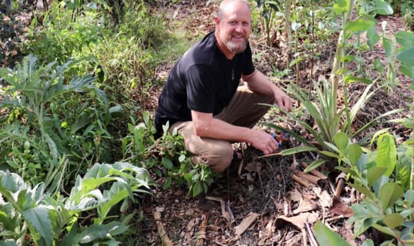 Kris Edgington's property is abundant with food plants such as banana, pineapple, strawberry guava, Arabica coffee, jaboticaba, papino, and macadamia.