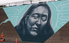 Hamilton Anglesea St mural.