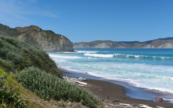 Hill and beach landscape at Mahia Peninsula
