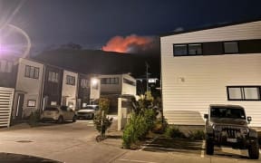 A fire has broken out on Māngere Mountain in South Auckland.