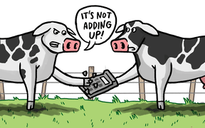 Two cows hold a calculator, saying "it's not adding up".
