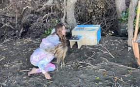 Children from Piha Community Pre-school helped paint and decorate all the roost/nest boxes.
