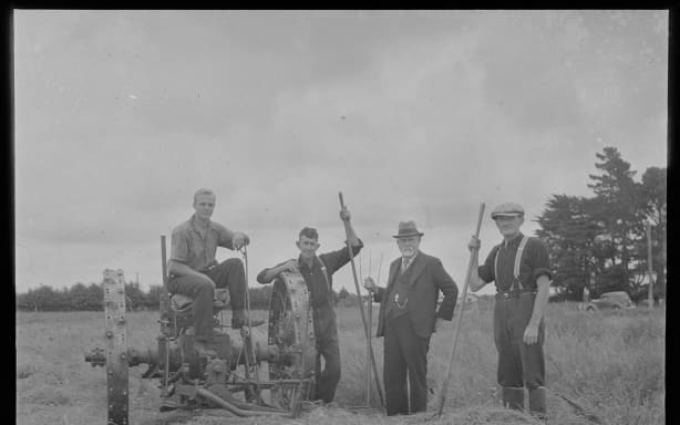 Mr E.D. McLennan and farm workers in a paspalum field, 1940