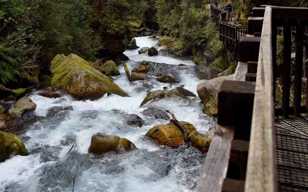 The cascade landscape of Marian Creek at the viewing platform along the Lake Marian Track.