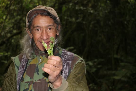 Charles with a pikopiko (fern) in Hinehopu forest, Rotoiti.