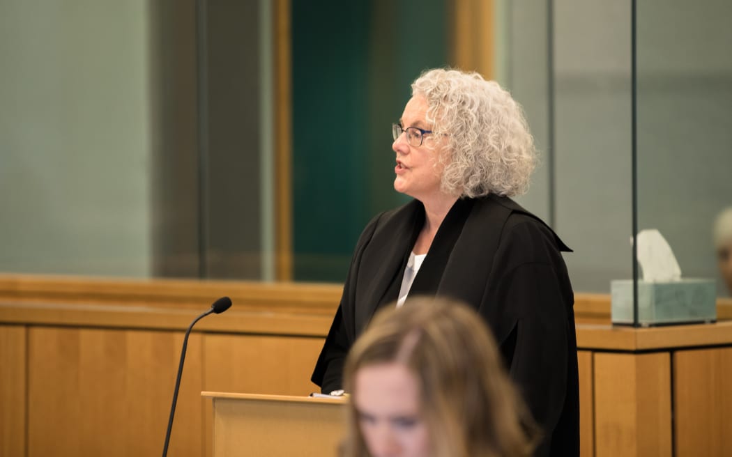 Crown lawyer Victoria Casey at Winston Peters' privacy case at the High Court in Auckland.