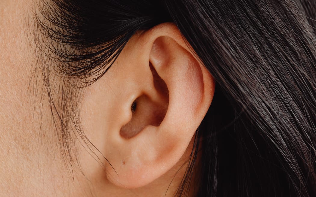 closeup of ear