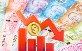 Tonga's exports plummeted in the first quarter of 2025 compared to the same period last year.