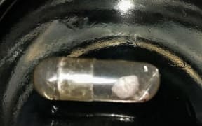 The pills are medium sized clear capsules containing a chalky white powder that clumps together.