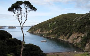 Deep Water Cove, in the Bay of Islands is an example of the success of a no-fishing rahui on the recovery of marine ecosystems