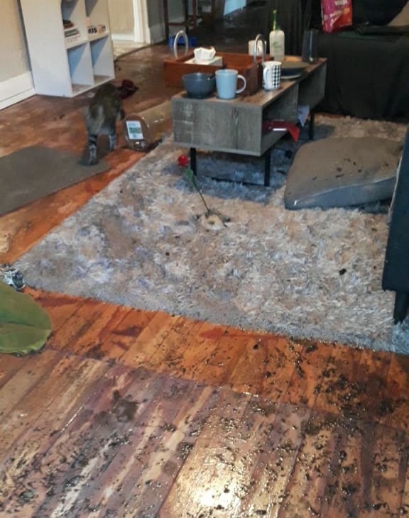 Sarah Baker said her house was flooded out in the early hours of this morning.