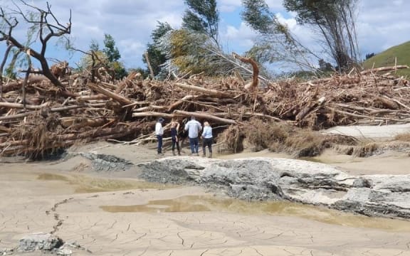 Tree debris piled high on the Wilson family orchard after Cyclone Gabrielle. It bowled over apple trees.
