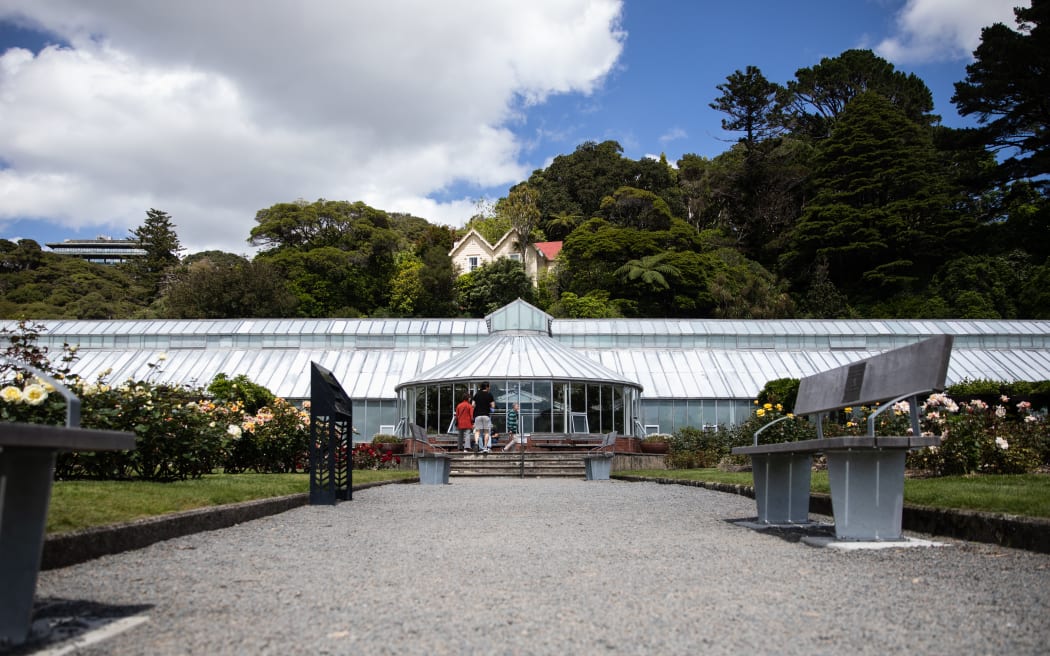 Begonia House in Wellington's botanical gardens