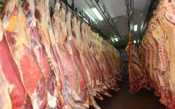 Beef carcasses