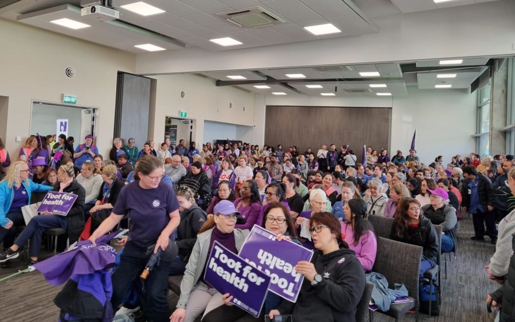 Nurses protest about dangerous staffing levels, at the Hamilton Gardens on 30 July, 2025.
