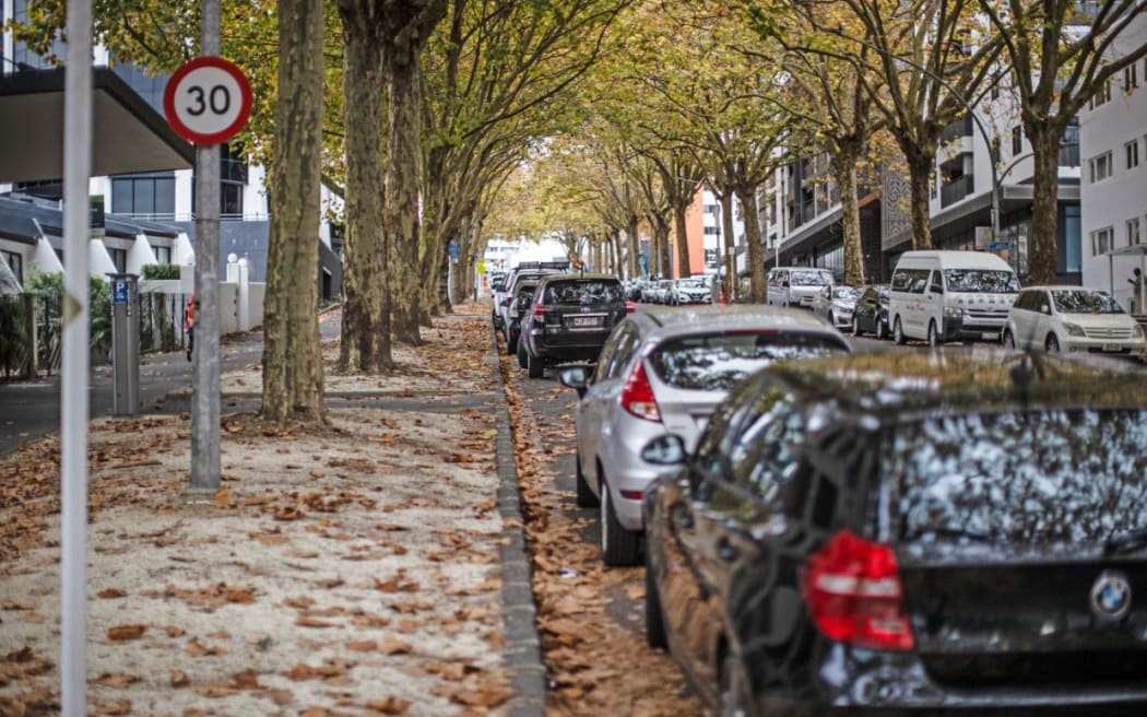 Greys Avenue is a residential zone with apartments and townhouses in the inner city.