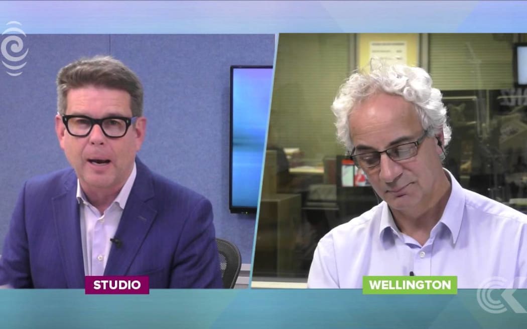 Deborah Pead emerges in web of Panama Papers: RNZ Checkpoint