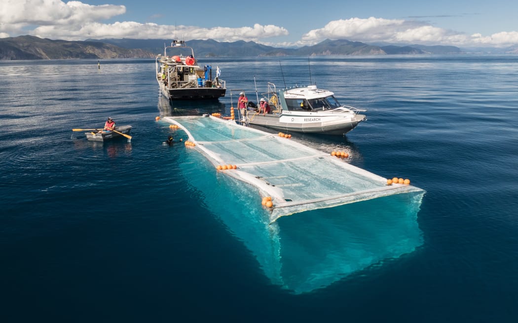 Plant & Food Research scientists have deployed their first prototype of a mobile open ocean aquaculture system near Rangitoto ki te Tonga, D’Urville Island at the top of the South Island.