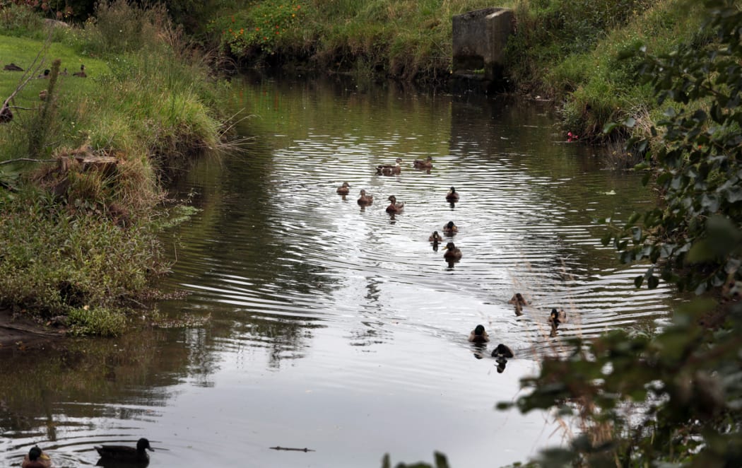 Waiwhetu Stream.