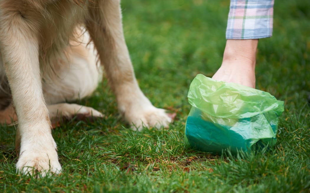 Owner picking up dog poo with litter bag