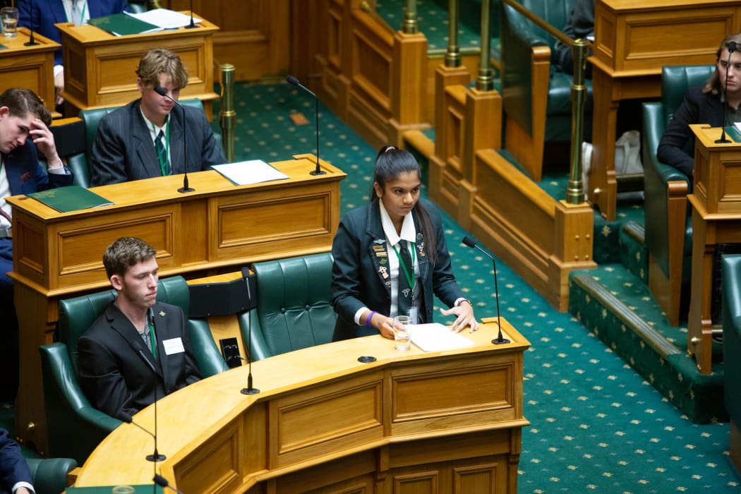The 2019 Youth MP for David Seymour, Valentyn Santhara speaks at Youth Parliament 2019.