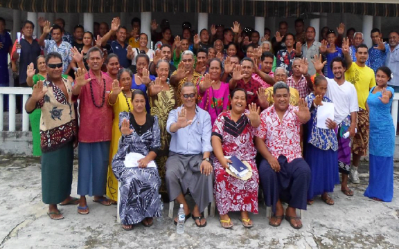 Participants in consultations in 2017.